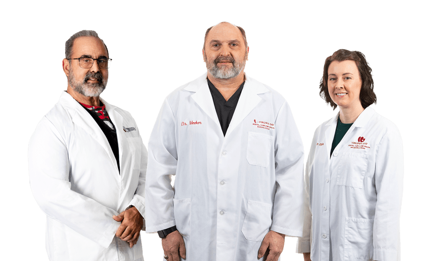 Virginia Gay Providers